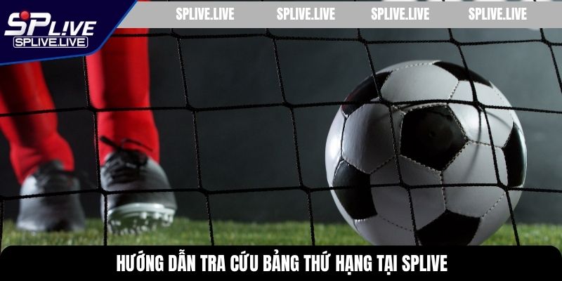 Hướng dẫn tra cứu bảng thứ hạng tại SPLIVE