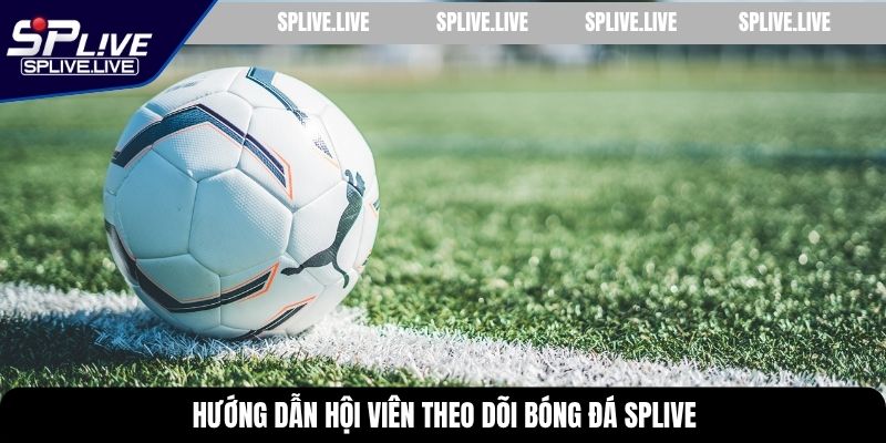 Hướng dẫn hội viên theo dõi bóng đá SPLIVE