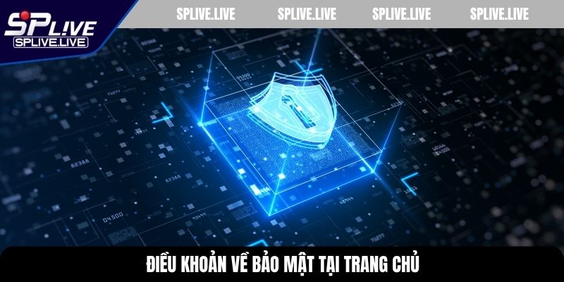 Điều khoản về bảo mật tại trang chủ