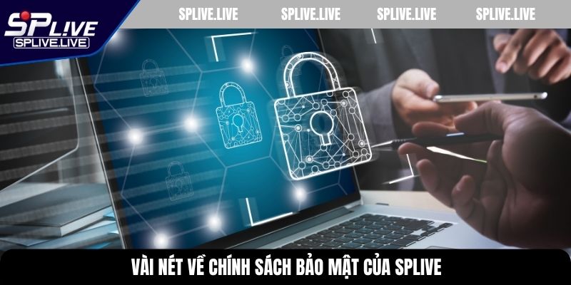 Vài nét về chính sách bảo mật của SPLIVE