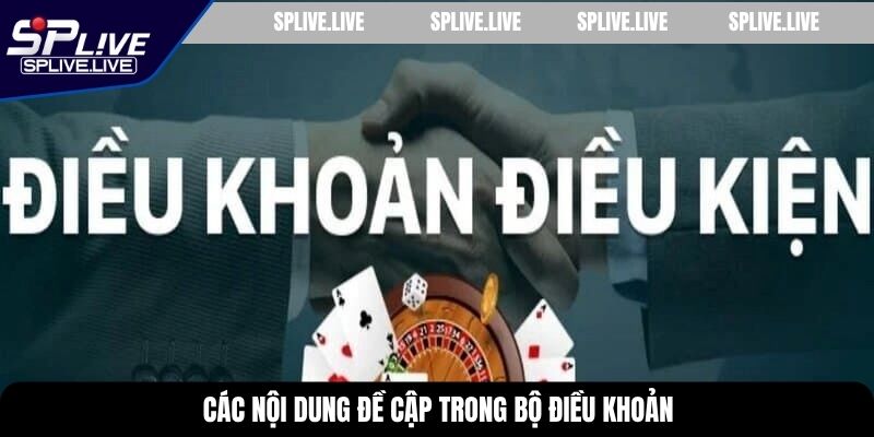 Các nội dung đề cập trong bộ điều khoản