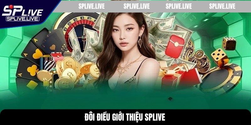Đôi điều giới thiệu SPLIVE 