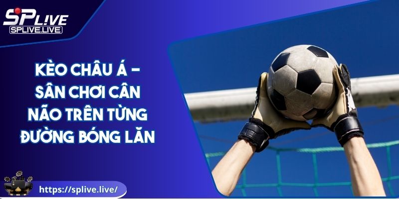 Kèo Châu Á - Sân Chơi Cân Não Trên Từng Đường Bóng Lăn