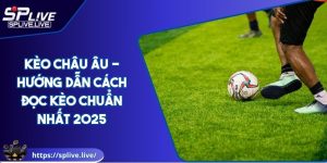 Kèo Châu Âu - Hướng Dẫn Cách Đọc Kèo Chuẩn Nhất 2025