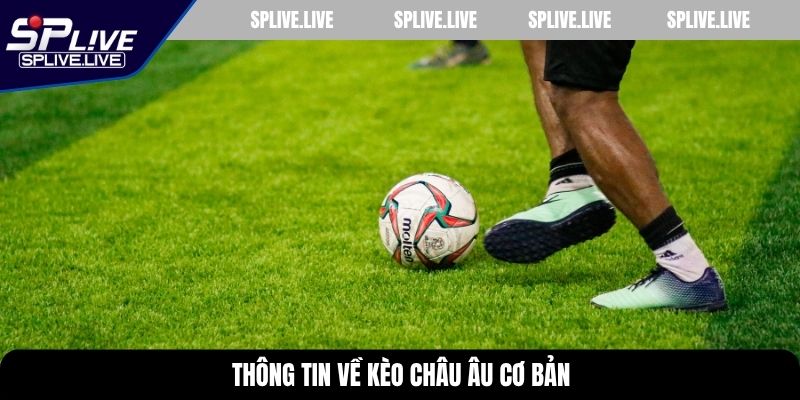 Thông tin về kèo châu Âu cơ bản