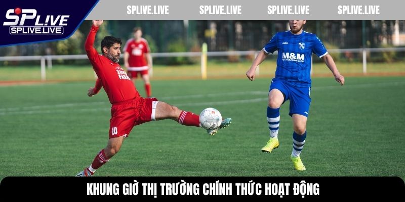 Khung giờ thị trường chính thức hoạt động