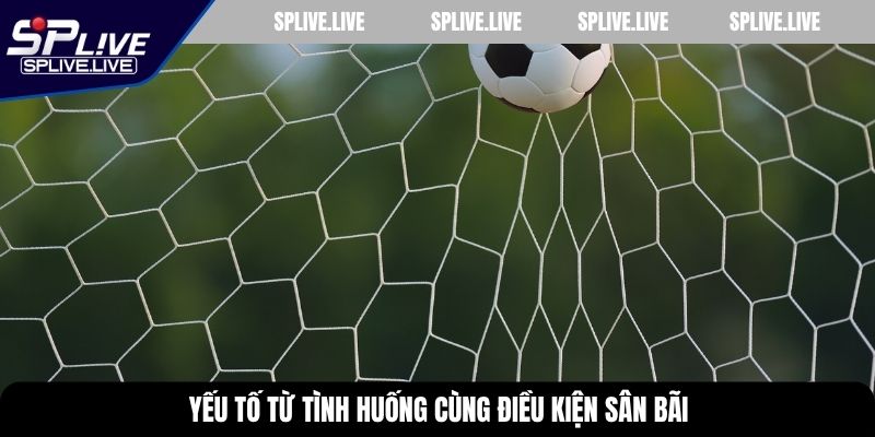 Yếu tố từ tình huống cùng điều kiện sân bãi