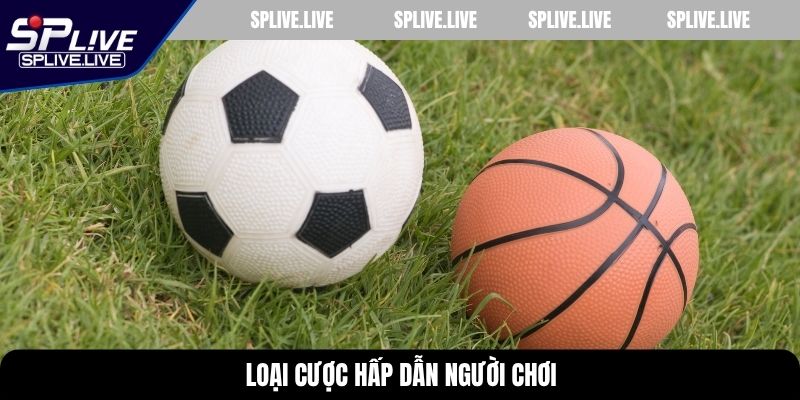 Loại cược hấp dẫn người chơi