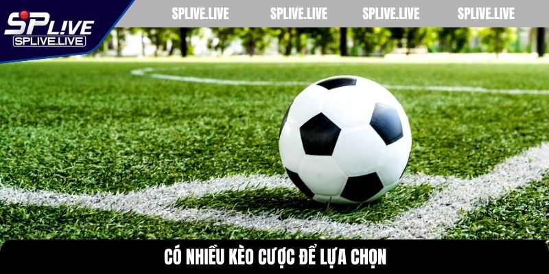 Có nhiều kèo cược để lựa chọn