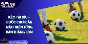 Kèo Tài Xỉu - Cuộc Chơi Cân Não Trên Từng Bàn Thắng Lớn