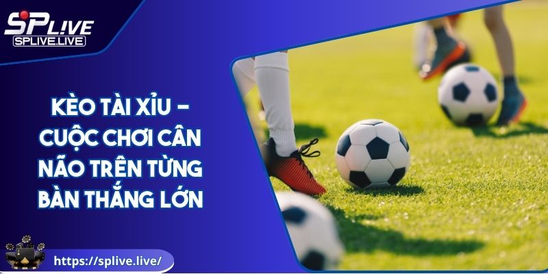 Kèo Tài Xỉu - Cuộc Chơi Cân Não Trên Từng Bàn Thắng Lớn