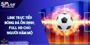 Link Trực Tiếp Bóng Đá Ổn Định, Full HD Cho Người Hâm Mộ