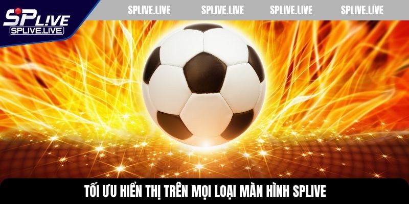 Tối ưu hiển thị trên mọi loại màn hình SPLIVE