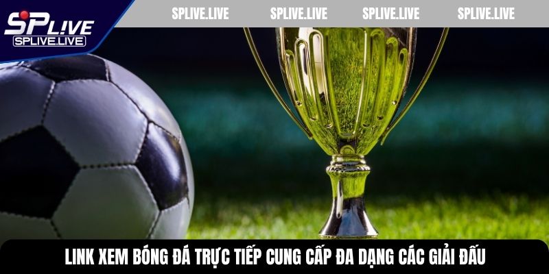 Link xem bóng đá trực tiếp cung cấp đa dạng các giải đấu