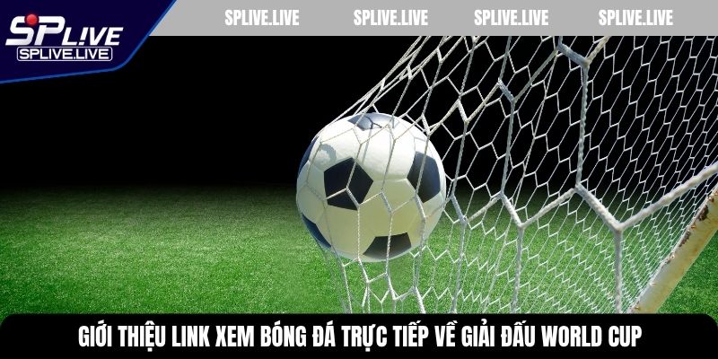 Giới thiệu link xem bóng đá trực tiếp về giải đấu World Cup