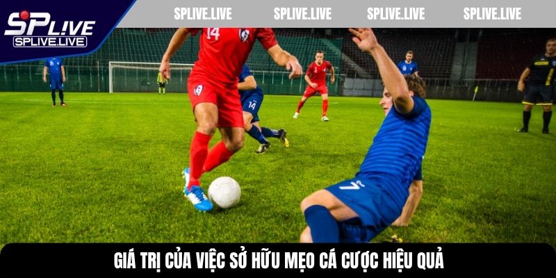 Giá trị của việc sở hữu mẹo cá cược hiệu quả