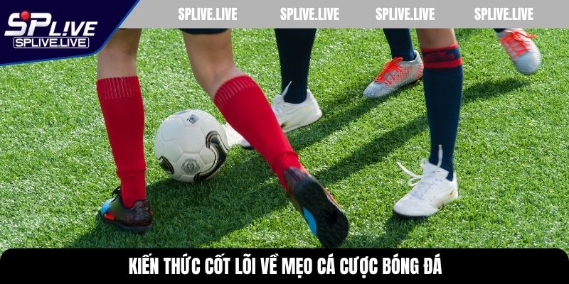 Kiến thức cốt lõi về mẹo cá cược bóng đá