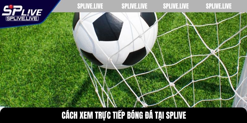 Cách xem trực tiếp bóng đá tại SPLIVE