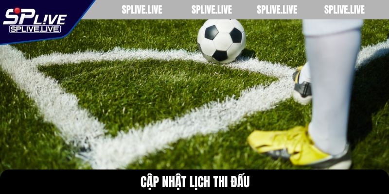 Cập nhật lịch thi đấu