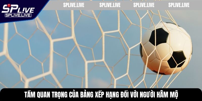 Tầm quan trọng của bảng xếp hạng đối với người hâm mộ