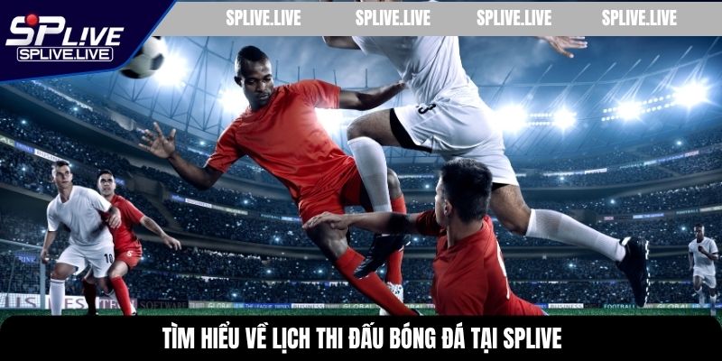 Tìm hiểu về lịch thi đấu bóng đá tại SPLIVE
