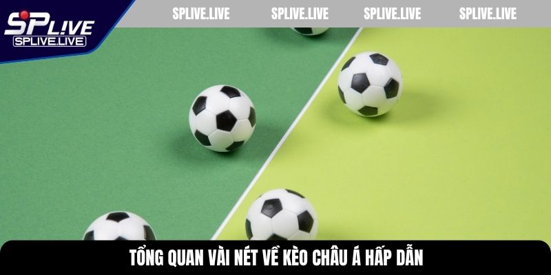Tổng quan vài nét về kèo châu Á hấp dẫn