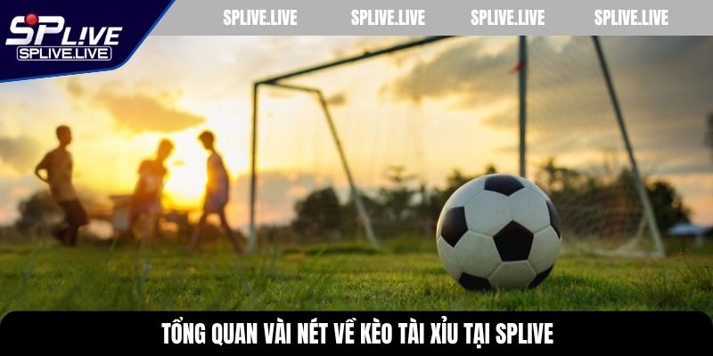 Tổng quan vài nét về kèo tài xỉu tại SPLIVE