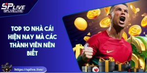 Top 10 Nhà Cái Hiện Nay Mà Các Thành Viên Nên Biết