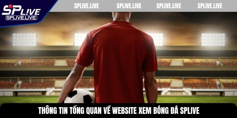 Thông tin tổng quan về website xem bóng đá SPLIVE