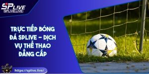 Trực Tiếp Bóng Đá SPLIVE - Dịch Vụ Thể Thao Đẳng Cấp