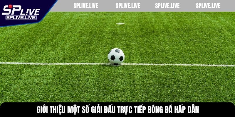 Giới thiệu một số giải đấu trực tiếp bóng đá hấp dẫn