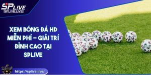 Xem Bóng Đá HD Miễn Phí - Giải Trí Đỉnh Cao Tại SPLIVE