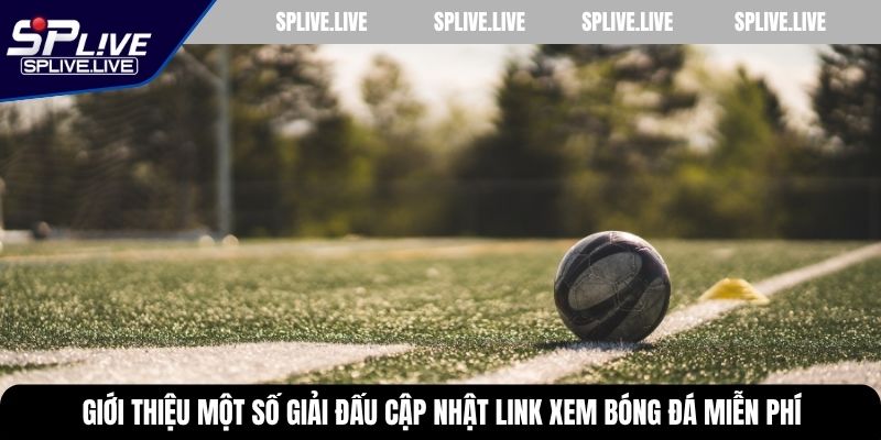 Giới thiệu một số giải đấu cập nhật link xem bóng đá miễn phí